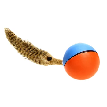 מקסים מחמד כלב חתול סמור ממונע כדור מתגלגל מופיע לקפוץ לנוע צעצוע