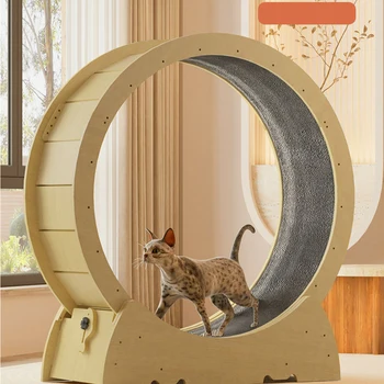 עמיד חתול גלגל עם שטיח המסלול ללא קול רולר נעילת בטיחות קל להתקנה פעילות גופנית יומית ההגה חתולים