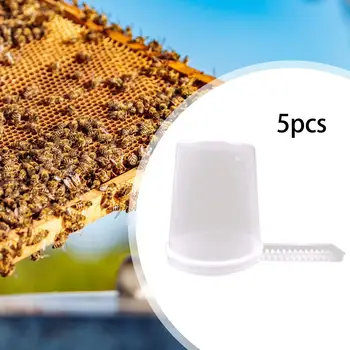 5Pcs גידול דבורים כניסת מים מזין קל להתבונן על גידול דבורים חקלאי
