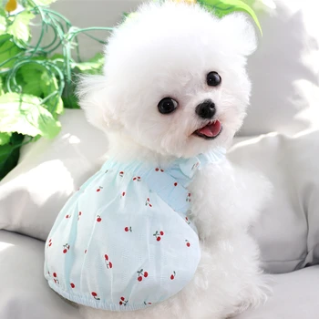 טדי חצאית אביב קיץ כלבלב בגדים לחיות מחמד כלבלב קטן בינוני כלבים השמלה בישון פומרניאן יורקשייר חתולים שמלות