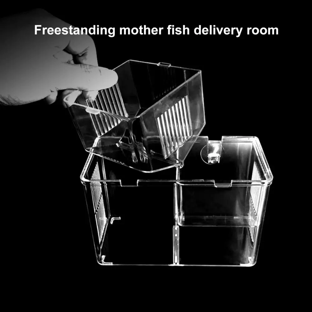 באקווריום רבייה הקופסא שקוף חלל גדול שתי שכבות דגים התינוק 2 תאים יניקה סוג אקווריום הרבייה תיבת - 4