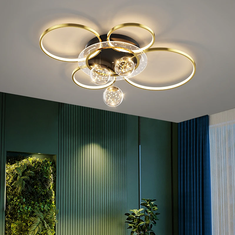 מודרני Gypsophila LED אורות התקרה טבעות מעגל מנורת תקרה חי האוכל חדר השינה דקורטיבי בכניסה Luminaire הברק עיצוב - 4